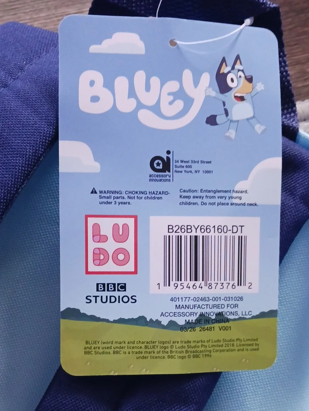 Bluey new